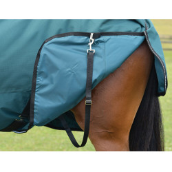 Cobertura Weatherbeeta ComFiTec Classic Turnout 220g Verde floresta / preto Cobertura Weatherbeeta ComFiTec Classic Turnout 220g Verde floresta / preto
