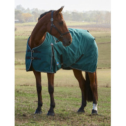 Cobertura Weatherbeeta ComFiTec Classic Turnout 220g Verde floresta / preto Cobertura Weatherbeeta ComFiTec Classic Turnout 220g Verde floresta / preto