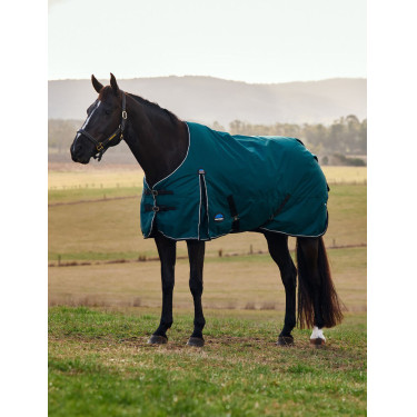 Manta Weatherbeeta ComFiTec Classic Turnout 50g Verde floresta / preto Manta Weatherbeeta ComFiTec Classic Turnout 50g Verde floresta / preto