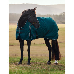 Manta Weatherbeeta ComFiTec Classic Turnout 50g Verde floresta / preto Manta Weatherbeeta ComFiTec Classic Turnout 50g Verde floresta / preto