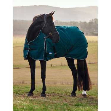 Manta Weatherbeeta ComFiTec Classic Turnout 50g Verde floresta / preto Manta Weatherbeeta ComFiTec Classic Turnout 50g Verde floresta / preto