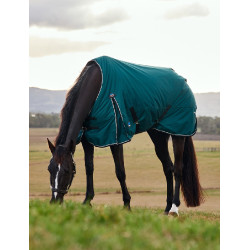 Manta Weatherbeeta ComFiTec Classic Turnout 50g Verde floresta / preto Manta Weatherbeeta ComFiTec Classic Turnout 50g Verde floresta / preto