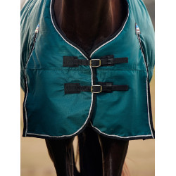 Manta Weatherbeeta ComFiTec Classic Turnout 50g Verde floresta / preto Manta Weatherbeeta ComFiTec Classic Turnout 50g Verde floresta / preto