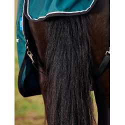 Manta Weatherbeeta ComFiTec Classic Turnout 50g Verde floresta / preto Manta Weatherbeeta ComFiTec Classic Turnout 50g Verde floresta / preto