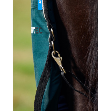 Manta Weatherbeeta ComFiTec Classic Turnout 50g Verde floresta / preto Manta Weatherbeeta ComFiTec Classic Turnout 50g Verde floresta / preto