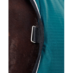 Manta Weatherbeeta ComFiTec Classic Turnout 50g Verde floresta / preto Manta Weatherbeeta ComFiTec Classic Turnout 50g Verde floresta / preto