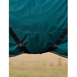 Manta Weatherbeeta ComFiTec Classic Turnout 50g Verde floresta / preto Manta Weatherbeeta ComFiTec Classic Turnout 50g Verde floresta / preto