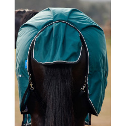 Manta Weatherbeeta ComFiTec Classic Turnout 50g Verde floresta / preto Manta Weatherbeeta ComFiTec Classic Turnout 50g Verde floresta / preto