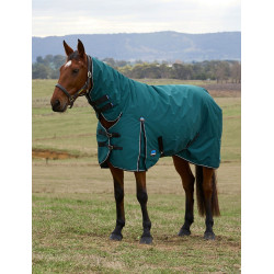 new Verde floresta / preto