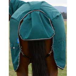 new Verde floresta / preto