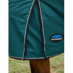 new Verde floresta / preto