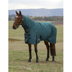 new Verde floresta / preto