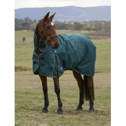 new Verde floresta / preto