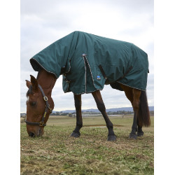 new Verde floresta / preto