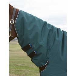 new Verde floresta / preto