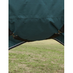 new Verde floresta / preto