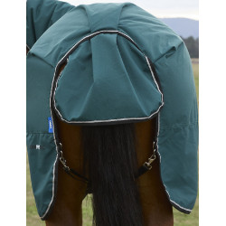 new Verde floresta / preto