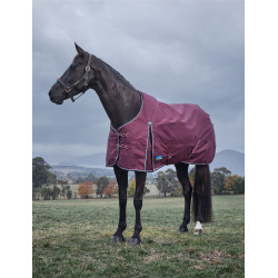 new Borgonha / marinho