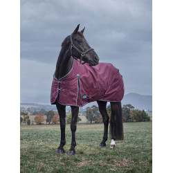 new Borgonha / marinho