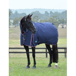 Manta Weatherbeeta ComFiTec Essential Turnout 360g com pescoço integrado Azul-marinho/bordô