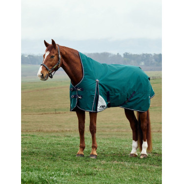 Cobertor Weatherbeeta ComFiTec Plus Dynamic Turnout 100g pescoço alto Verde floresta / azul-marinho Cobertor Weatherbeeta ComFiTec Plus Dynamic Turnout 100g pescoço alto Verde floresta / azul-marinho