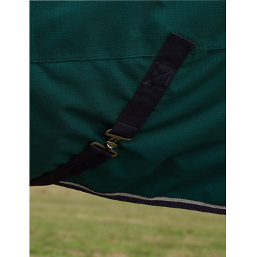 Cobertor Weatherbeeta ComFiTec Plus Dynamic Turnout 100g pescoço alto Verde floresta / azul-marinho Cobertor Weatherbeeta ComFiTec Plus Dynamic Turnout 100g pescoço alto Verde floresta / azul-marinho