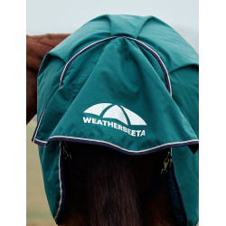 Cobertor Weatherbeeta ComFiTec Plus Dynamic Turnout 100g pescoço alto Verde floresta / azul-marinho Cobertor Weatherbeeta ComFiTec Plus Dynamic Turnout 100g pescoço alto Verde floresta / azul-marinho