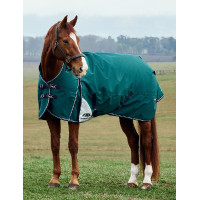 Cobertor Weatherbeeta ComFiTec Plus Dynamic Turnout 100g pescoço alto Verde floresta / azul-marinho