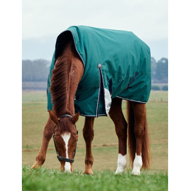 Cobertor Weatherbeeta ComFiTec Plus Dynamic Turnout 100g pescoço alto Verde floresta / azul-marinho Cobertor Weatherbeeta ComFiTec Plus Dynamic Turnout 100g pescoço alto Verde floresta / azul-marinho