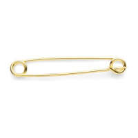 Alfinete de equitação dourado Shires para plastron