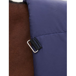 Cobertor Weatherbeeta ComFiTec Plus Dynamic Turnout 100g pescoço alto Marinho / verde floresta Azul