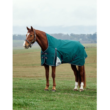 Cobertor Weatherbeeta ComFiTec Plus Dynamic Turnout 220g pescoço alto Verde floresta / azul-marinho Cobertor Weatherbeeta ComFiTec Plus Dynamic Turnout 220g pescoço alto Verde floresta / azul-marinho