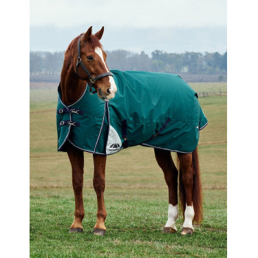 Cobertor Weatherbeeta ComFiTec Plus Dynamic Turnout 220g pescoço alto Verde floresta / azul-marinho Cobertor Weatherbeeta ComFiTec Plus Dynamic Turnout 220g pescoço alto Verde floresta / azul-marinho