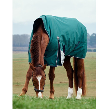 Cobertor Weatherbeeta ComFiTec Plus Dynamic Turnout 220g pescoço alto Verde floresta / azul-marinho Cobertor Weatherbeeta ComFiTec Plus Dynamic Turnout 220g pescoço alto Verde floresta / azul-marinho