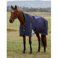 Cobertor Weatherbeeta ComFiTec Plus Dynamic Turnout 220g pescoço alto Marinho / verde floresta Azul Cobertor Weatherbeeta ComFiTec Plus Dynamic Turnout 220g pescoço alto Marinho / verde floresta Azul