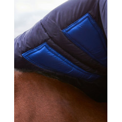 Cobertor Weatherbeeta ComFiTec Plus Dynamic Turnout 220g pescoço alto Marinho / verde floresta Azul Cobertor Weatherbeeta ComFiTec Plus Dynamic Turnout 220g pescoço alto Marinho / verde floresta Azul