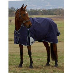 Cobertor Weatherbeeta ComFiTec Plus Dynamic Turnout 220g pescoço alto Marinho / verde floresta Azul Cobertor Weatherbeeta ComFiTec Plus Dynamic Turnout 220g pescoço alto Marinho / verde floresta Azul