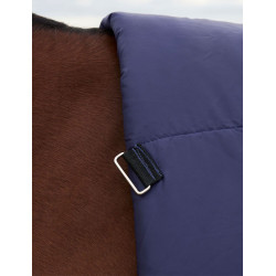 Cobertor Weatherbeeta ComFiTec Plus Dynamic Turnout 220g pescoço alto Marinho / verde floresta Azul Cobertor Weatherbeeta ComFiTec Plus Dynamic Turnout 220g pescoço alto Marinho / verde floresta Azul