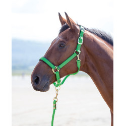 Licol nylon Topaz Shires Vert Licol nylon Topaz Shires Vert
