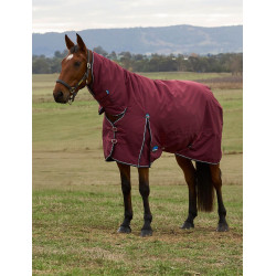 Manta Weatherbeeta ComFiTec Prelim Turnout Combo 220g Borgonha / marinho