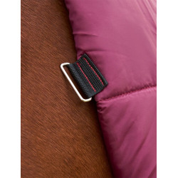 Manta Weatherbeeta ComFiTec Prelim Turnout Combo 220g Borgonha / marinho