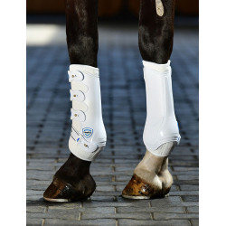 Guetes de dressage Weatherbeeta concha dura Tough-Tec Branco