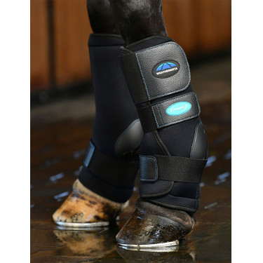 Guêtres de frio Weatherbeeta Therapy-Tec II Ultra Cool Preto Guêtres de frio Weatherbeeta Therapy-Tec II Ultra Cool Preto