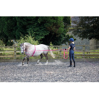 Chicote Chambrière Shires 160 cm Chicote Chambrière Shires 160 cm