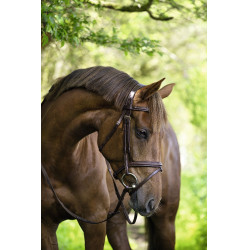 Bridon Classic Covalliero Bridon Classic Covalliero