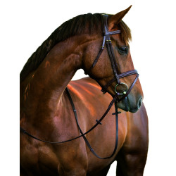 Bridon Classic Covalliero Bridon Classic Covalliero