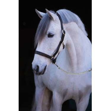 Cabeçada de couro Eco Covalliero Castanho Cabeçada de couro Eco Covalliero Castanho