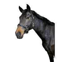 Cabeçada de couro Eco Covalliero Preto