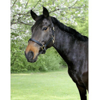 Cabeçada de couro Eco Covalliero Castanho