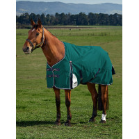 Cobertura Weatherbeeta ComFiTec Plus Dynamic Turnout 220g Verde floresta / azul-marinho Cobertura Weatherbeeta ComFiTec Plus Dynamic Turnout 220g Verde floresta / azul-marinho